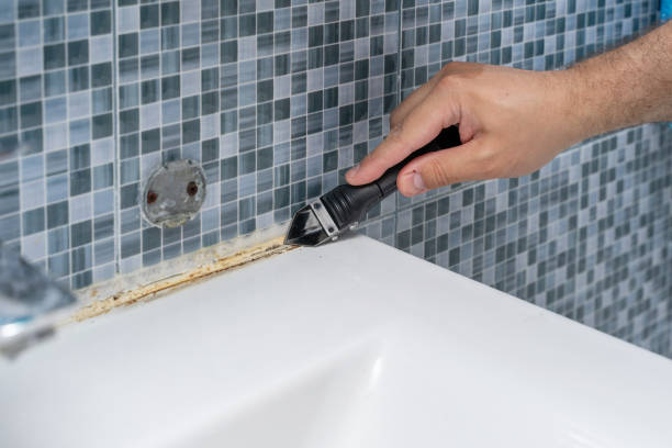 Best Residential Mold Remediation in Nisswa, MN
