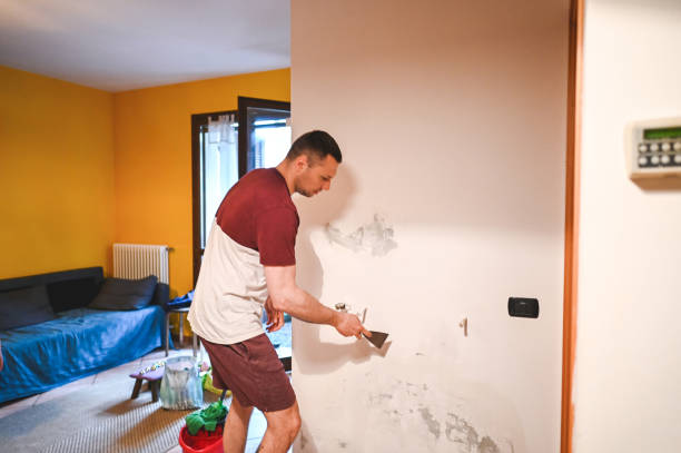 Best Mold Remediation for Specific Building Types in Nisswa, MN